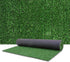 LITA Artificial Grass Turf Lawn-4 Feet x 6 Feet, 0.4" Indoor Outdoor