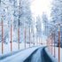 Autoparts 50pcs 48 Inches 1/4-Inch Orange Reflective Driveway Markers Snow Stakes Long Dia Markers