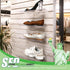 4" 10" 2 Pack Clear Acrylic Slatwall Shoe Shelf, D x L Flat Acrylic Shoe Display Shelf