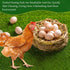 6 Pack 12x12 (30x30cm) Owfeel Chicken Nesting Pads, Washable Artificial Grass Mat for Chicken Coop, Reusable Pet Garden