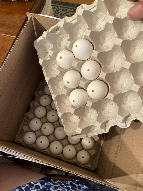 My Egg Shells 30 2-3 DAONEG - Large Blown Chicken Egg Shells - Save Hours of Work And a Huge Mess