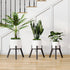Set 2, PS-007BK-2 Adjustable Plant Stands of Metal Small Plant Holder, Heavy Duty Stable Flower Holder Stand Rack