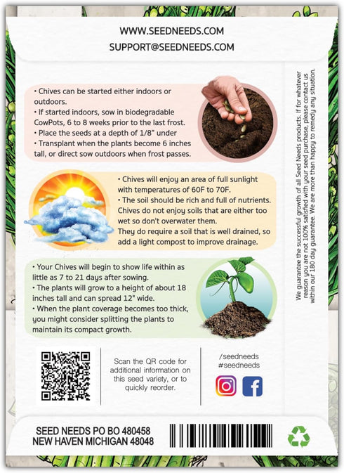 (1 Pack) Seed Needs Chive Seeds for Planting Garlic Chives - Non-GMO Heirloom & Untreated Perennial Herbs to Grow an