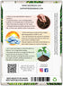 (1 Pack) Seed Needs Chive Seeds for Planting Garlic Chives - Non-GMO Heirloom & Untreated Perennial Herbs to Grow an