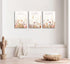 3Pcs MALEDO Christian Nursery Canvas Wall Art Bible Verse Floral Pictures Wall Decor Boho Wildflower Nursery Posters