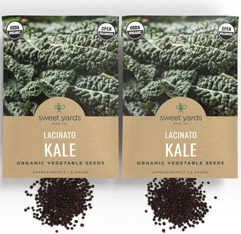2 Packets! 500 Organic Lacinato Kale Seeds - Seed - Over Open Pollinated Heirloom Non-GMO USDA Organic Seeds