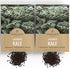 2 Packets! 500 Organic Lacinato Kale Seeds - Seed - Over Open Pollinated Heirloom Non-GMO USDA Organic Seeds