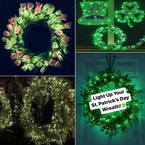 2 Pack 33ft 100 USB Plug-in Fairy Lights, Mini LED String Lights with Black Green Wire for Bedroom Wedding St.