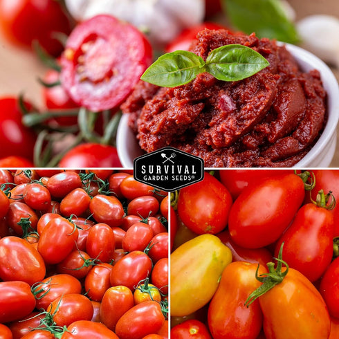 2 Pack Paste Tomato Seeds for Planting Variety with Roma & San Marzano, Heirloom Non-GMO Tomatoes for Sauce, Canning