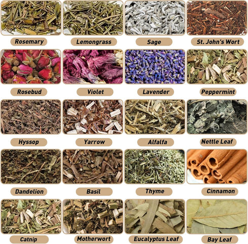 DreamdaMoonnly 20 Witchcraft Supplies Herbs Kit - Pcs Dried Herbs and Flowers for Witch Starter - Spell Herbs Jars