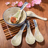 Asian Soup Spoons Set of 5, Ceramic Ramen Spoons, Perfect for Dumplings, Pho, Noodles, Dishwasher Safe