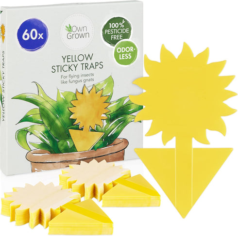 Yellow Sticky Traps for Gnats: 60x Indoor Sticky Fly Traps for House Plants, Fruit Fly Trap OwnGrown