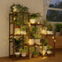 Bamworld Plant Stand Indoor with Flower Fairy Lights Battery Plant Shelf Wood