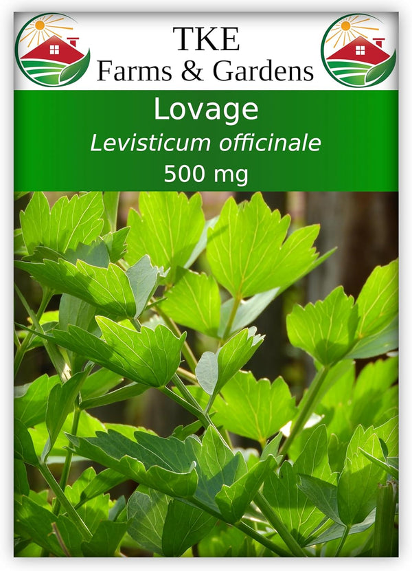 TKE Farms & Gardens - Lovage Seeds for Planting, 500 Mg, 140