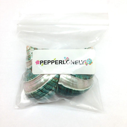 PEPPERLONELY 2 2-1/2 Inch 3 Inch PC Natural Large Hermit Crab Shells, Banded Green Blue Gade Turbo, ~