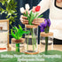 3 3 Office(Common Maxcheck Pcs Sizes Plant Propagation Station Separated Glass Plant Terrarium Water Hydroponic Planter