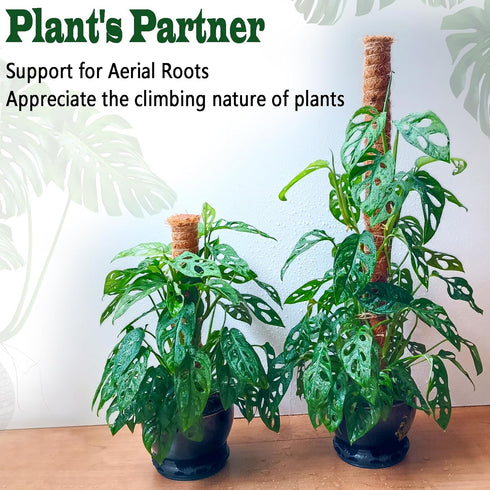 CHIAFFI 2 Pack 21 Inch 37 Inch Moss Poles, Stackable Moss Pole for Plants Monstera, Tall Moss Poles for Climbing Plants
