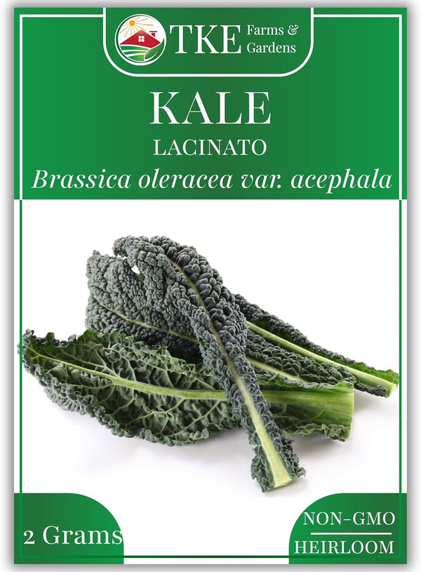 TKE Farms & Gardens - Lacinato Kale Seeds for Planting, 2 Grams,