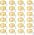 Ineximun 24 Pack LED Fairy Lights Battery Operated 7Ft 20Led Warm White