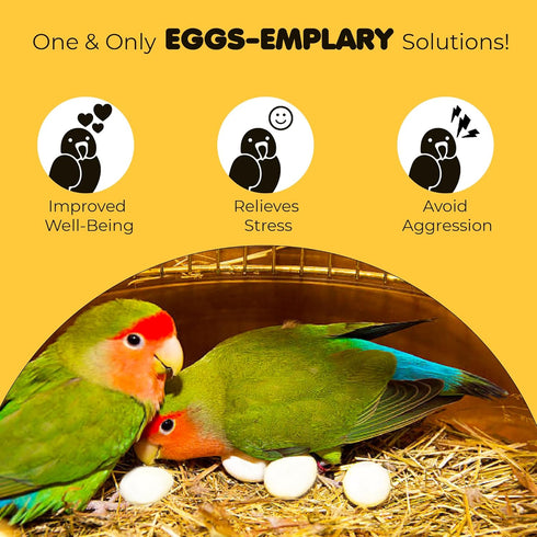 8 Pack Finch, 0.82x0.62 SunGrow Fake Wooden Eggs to Train Birds from Laying in The Nesting Boxes & to Stop from Eating