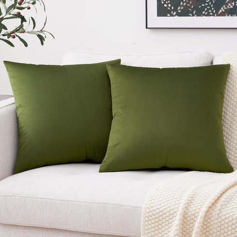 Mixhug Set of 2 Cozy Velvet Square Decorative Throw Pillow Covers, Moss Green, 18 x 18 Inches for Couch and Bed