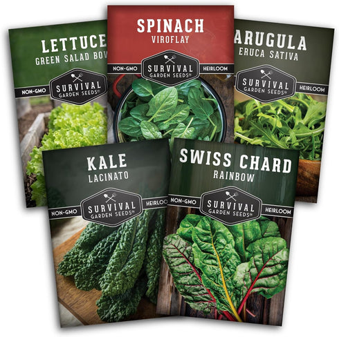 Leafy Greens Seeds Variety Pack 5 Heirlooms: Viroflay Spinach, Arugula, Lacinato Kale,