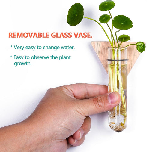 6-Pack Geometric Glass Plant Propagation Station with Wooden Stand