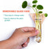 6-Pack Geometric Glass Plant Propagation Station with Wooden Stand