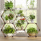 Tikea Plant Stand Indoor Outdoor Hexagonal Plant Stand for Multiple Plants Indoor