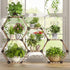 Tikea Plant Stand Indoor Outdoor Hexagonal Plant Stand for Multiple Plants Indoor