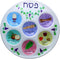 Cazenove Passover Seder Plates, 10 Pack, 10" Heavy Duty Quality Plastic Disposable Plates