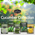 Packets Survival Garden Seeds Cucumber Collection - Mix of Armenian, Beit Alpha, Lemon, National Pickling