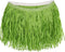 Beistle Adult Size Green Paper Grass Hula Skirt, Short Luau Costume Accessory, One