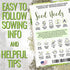 Pack 14 Packets Seed Needs Lettuce Seeds Variety for Planting a Collection of Individual Varieties - Includes Romaine