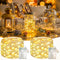 2 Pack Fairy Lights Battery Operated with Timer, 16.4 FT 50 LED
