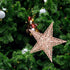 BinaryABC Christmas Tree Topper Star, Glittering Christmas Tree Decoration Ornaments, 20cm (Rose Gold)