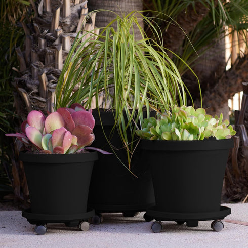14" 360 100 lb Bloem Round Planter Caddy with Wheels: - Black - Durable Plastic Dolly, Degree Wheel Movement