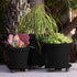 16" 150lb Bloem Black Round Planter Pot Caddy with Wheels, Capacity