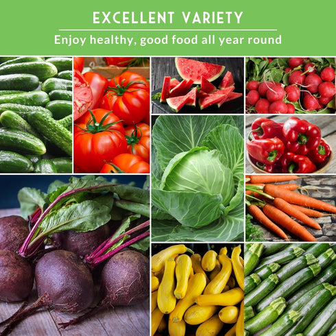 15 Pack Vegetable Garden Seed Vault for Planting Collection | Heirloom Non-GMO Family Garden Kit & Gift Tomato