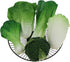 Woration Green Artificial Vegetables Set Lifelike Lettuce Broccoli Cabbage PU Food Model