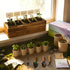 5 Herb Garden Kit with Wooden Box - Including Basil, Thyme, Parsley, Rosemary, Mint - Windowsill Herb Garden