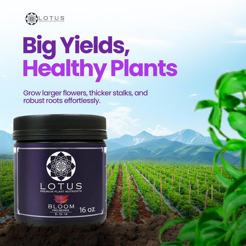 14+ 100% (16oz) Lotus Nutrients Bloom Pro Series, Water Soluble Hydroponic Plant Food for Flowering and Fruiting