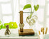 Bulb (D(1 Kingbuy Hydroponic Glass Vase Vintage Desktop Plant Terrarium Planter Vase Water Planting Propagation Vase