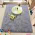 4x5.3 Amearea Premium Soft Area Rug Feet, Grey Rugs for Living Room, Fluffy Carpet for Bedroom Nursery Playroom Teen