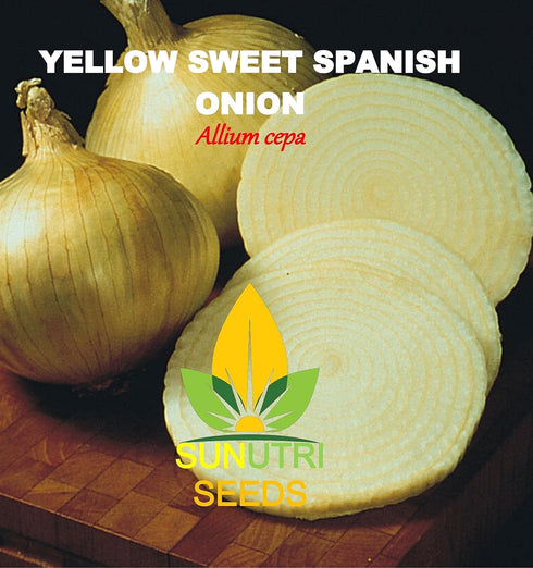 Sunutri Seeds 200+ Onion Seeds, Yellow Sweet Spanish, Heirloom, Non GMO Seeds, Allium cepa