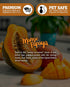 Mango & Papaya Premium Tealight Candles Bulk Pack - 24 Highly Scented Tea Lights, Made in The USA, Fruit & Berry