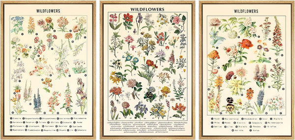 3Pcs Vintage Wildflowers Posters - Unframed Botanical Canvas Wall Art, Colorful Rustic Floral Picture Prints 12x16in