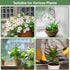 14.6in Set 4p Trellis for Potted Plants, Plant Trellis Indoor, Small Houseplant Trellis for Climbing Plants with Ties