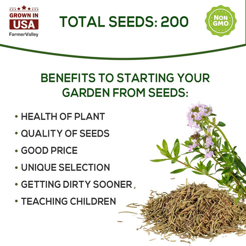 Pack 200+ Thyme Seeds for Planting Home Garden Herbs - Non-GMO, Heirloom, Untreated, and USA Grown Variety - Individual