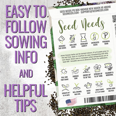 (1 Pack) Seed Needs Anise Hyssop Seeds for Planting Agastache foeniculum - Non-GMO Heirloom & Untreated - Grow a